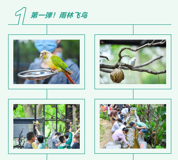 MG不朽情缘(中国区)官方网站