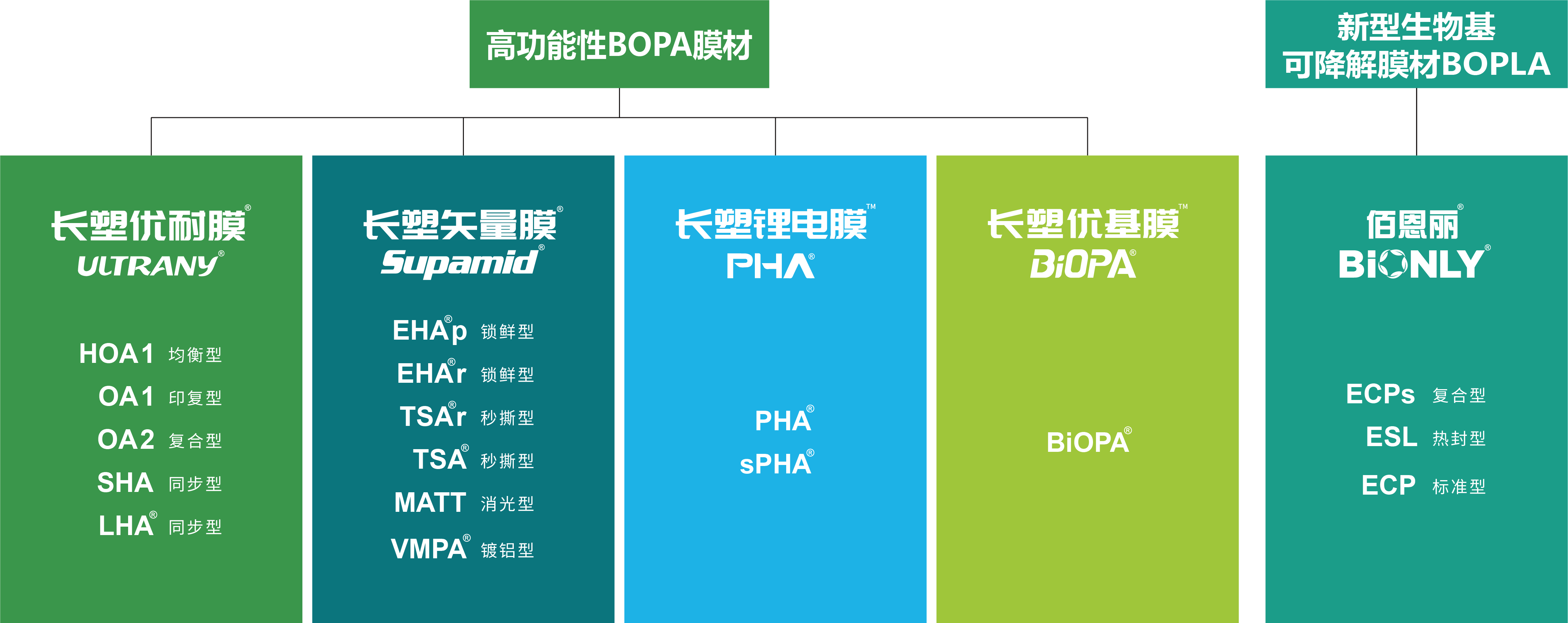 MG不朽情缘(中国区)官方网站