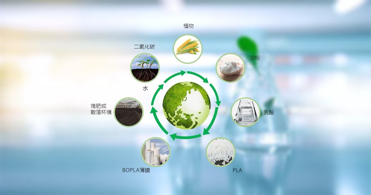 MG不朽情缘(中国区)官方网站